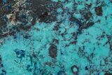 Colorful Chrysocolla and Shattuckite Slab - Mexico #227886-1